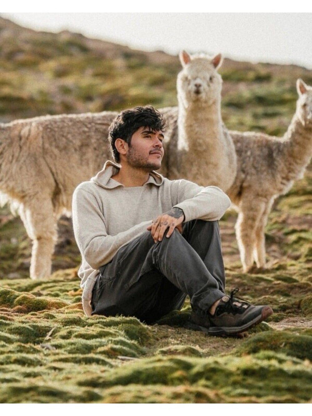 Paka Royal Alpaca ‘The Hoodie’ Unisex Size Medium Beige Pull Over Soft Sweater